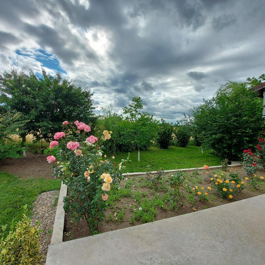 Villa Romelia - Select Apartments Vadu Buitenkant foto